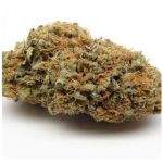 Шишки AK47 (Гидропоника, Бошка) VHQ в Коммунаре Шишки AK47 (Гидропоника, Бошка) VHQ в Коммунаре