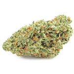 Шишки OG Kush (Гидропоника, бошки) VHQ в Коммунаре Шишки OG Kush (Гидропоника, бошки) VHQ в Коммунаре